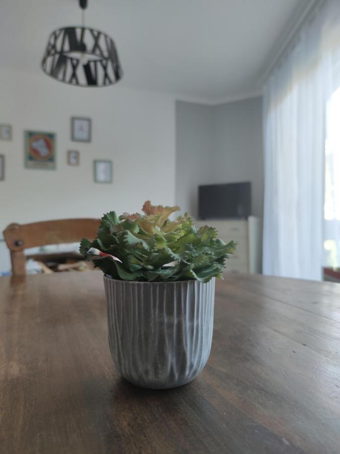 Les Plantades Aveyronnaises Apartment Saint-Georges-de-Luzençon Екстериор снимка